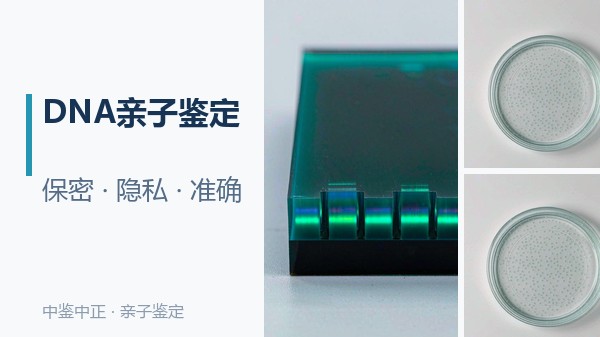自贡司法亲子鉴定怎么做,